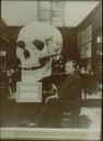 Albert Bechtel: Lindenholzschädel, Modell aus Lindenholz und Metall, Schwarz-weiß-Photographie, 1904, unbekannter Photograph; Bildquelle: Sammlung am Zentrum für Anatomie, Humboldt-Universität zu Berlin, Inventarnummer 1905/34, http://www.universitaetssammlungen.de/modell/1069.