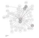 Das Korrespondenznetz der Leopoldina im Spiegel der Korrenspondenz zwischen A.E. Büchner und Chr. J. Trew; unbekannter Ersteller, 2009;  Bildquelle:  Mücke, Marion / Schnalke, Thomas: Briefnetz Leopoldina: Die Korrespondenz der Deutschen Akademie der Naturforscher um 1750, Berlin 2009. Mit freundlicher Genehmigung des de Gruyter Verlages. (http://www.degruyter.de/cont/fb/me/detail.cfm?id=IS-9783110201055-1).