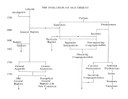 Evolution of Old Dissent IMG Evolution of Old Dissent IMG