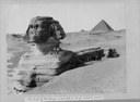 Die Sphinx IMG