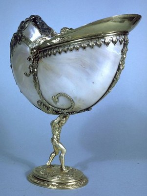 Nautiluspokal IMG Nautiluspokal IMG