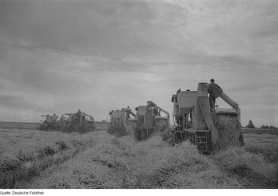 "Rambin. Landwirtschaftliche Produktionsgenossenschaft (LPG), Roggenernte", schwarz-weiß Photographie, DDR, ca. 1963, Photograph: Richard Peter (1895–1977); Bildquelle: Sächsische Landesbibliothek – Staats- und Universitätsbibliothek Dresden, Deutsche Fotothek, Record ID 88955035, wikimedia commons, http://commons.wikimedia.org/wiki/File:Fotothek_df_ps_0004870_Arbeitende_%5E_Landwirtschaft_%5E_M%C3%A4her.jpg.   This file is licensed under the Creative Commons Attribution-Share Alike 3.0 Germany license. 