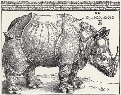 Albrecht Dürer: Rhinocerus 1515 IMG