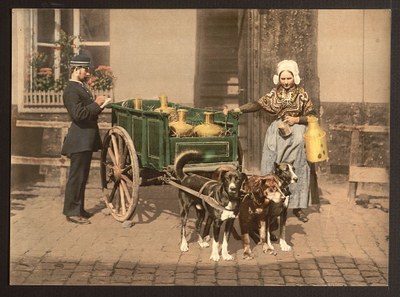 Anonym: Flämische Milchverkäuferin, Antwerpen, Belgien. Photochrom-Druck, ca. 1890-1900. Bildquelle: Library of Congress Prints and Photographs Division, LC-DIG-ppmsc-05620,, http://www.loc.gov/item/2001697878/. Gemeinfrei.