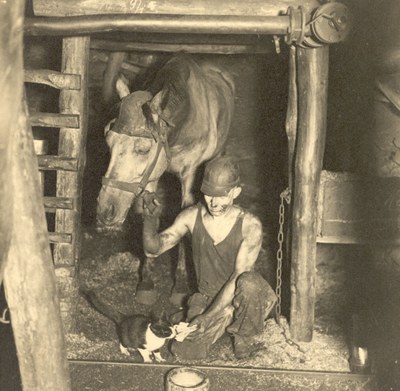 Gemeinsame Frühstückspause: Bergmann mit Grubenpferd und Katze IMG Gemeinsame Frühstückspause: Bergmann mit Grubenpferd und Katze IMG