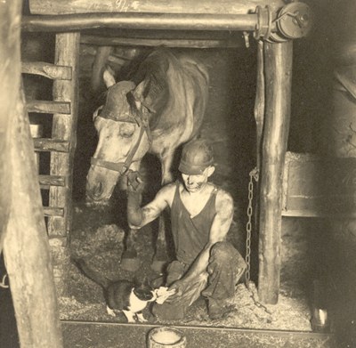 Gemeinsame Frühstückspause: Bergmann mit Grubenpferd und Katze IMG