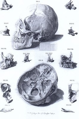 Künstler: Georg Lichtensteger nach einer Vorlage von Nicolaus Friedrich Eisenberger, Bildquelle: Universitätsbibliothek Erlangen, Handschriftenabteilung, Lesesaal http://www.ub.uni-erlangen.de/sammlungen/handschriften.shtml 