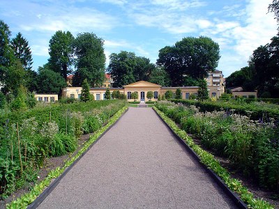 Linné-Garten IMG